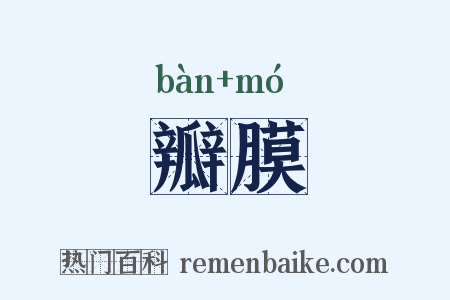 瓣膜是什么意思的图片
